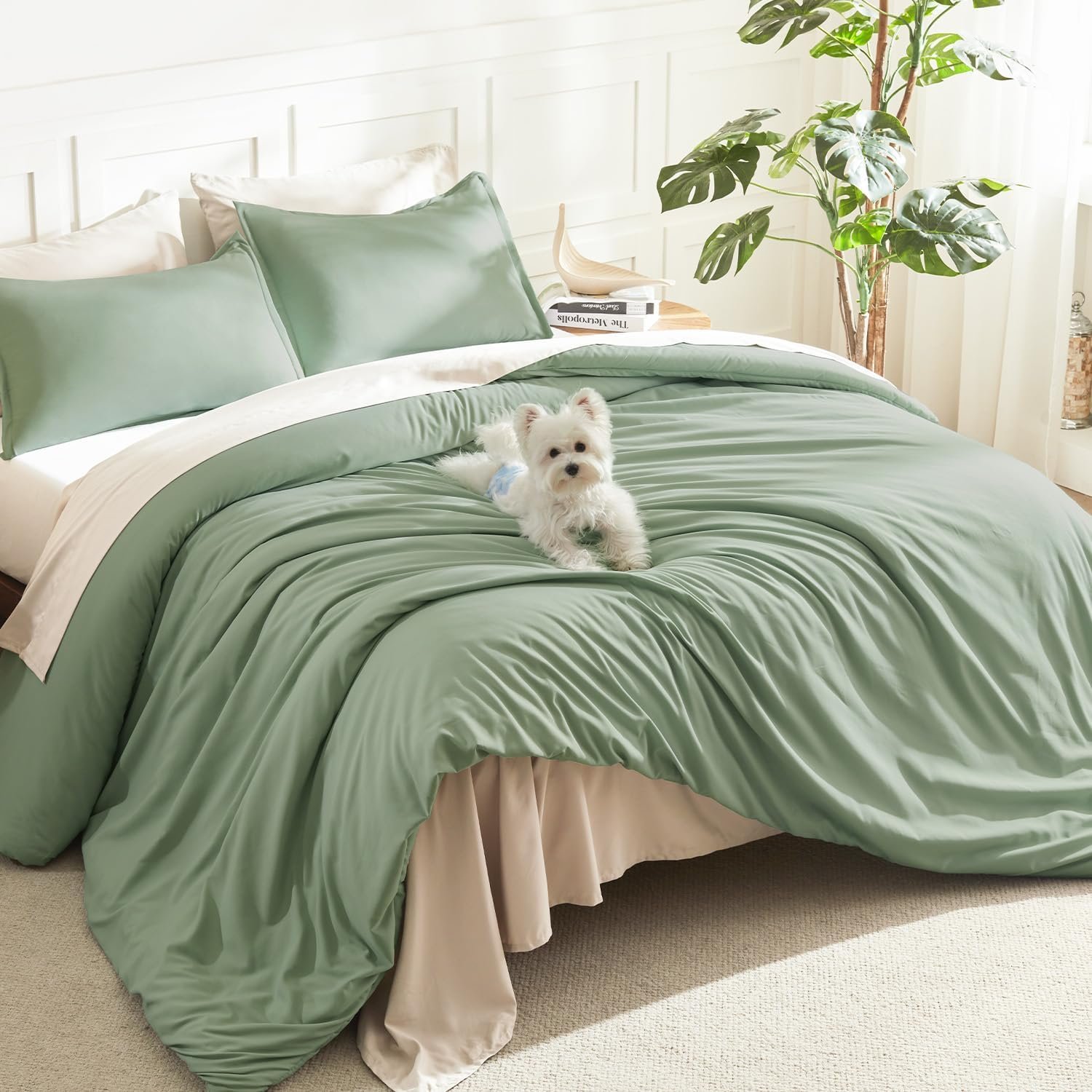 Litanika Queen Comforter Set Sage Green, 3 Pieces Lightweight Solid Bed Set | Soft Fluffy Down Alternative All Season Quilt Blanket