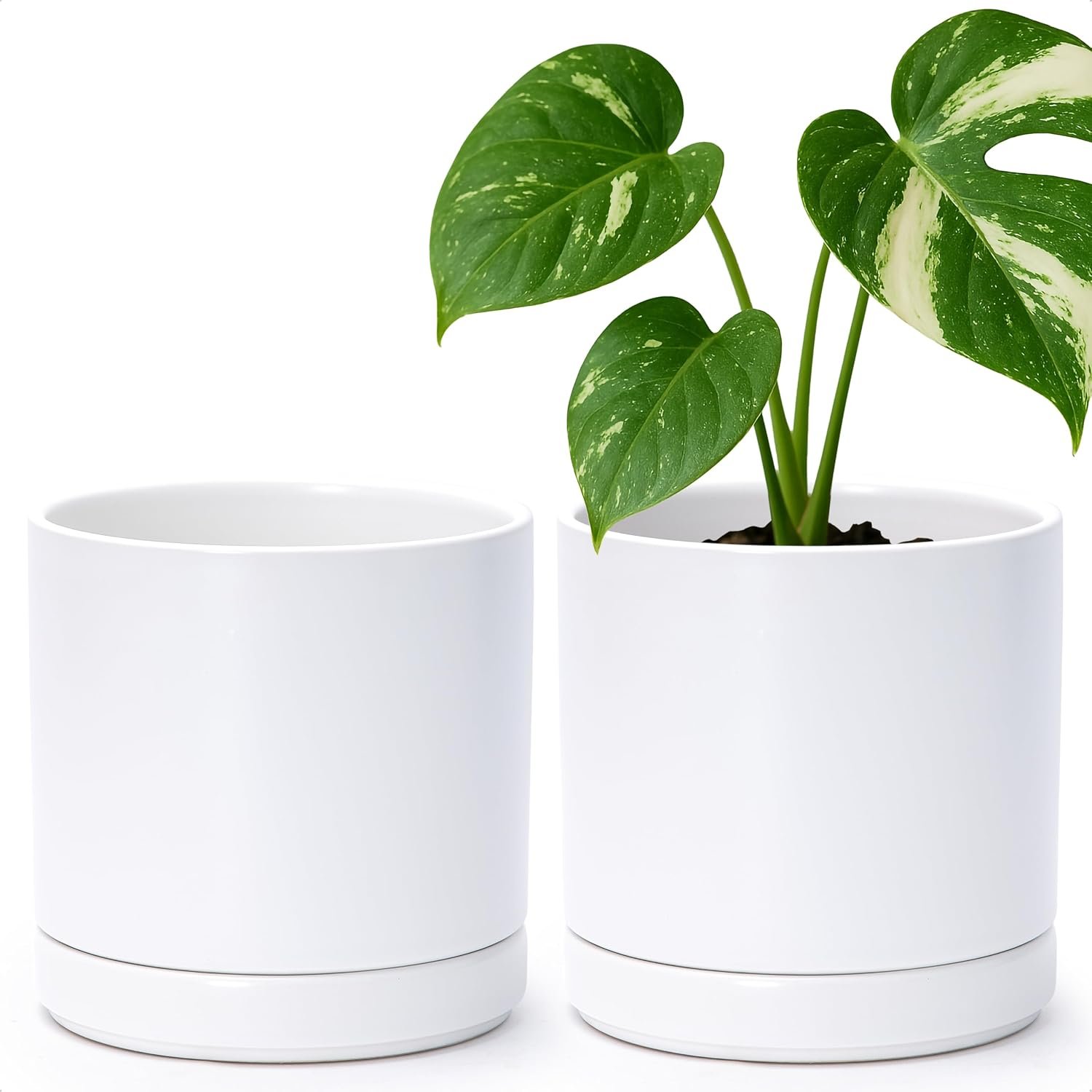 D’vine Dev 2-Pack Ceramic Pots with Saucers, White, 6.5 in, 94-V-C-1 | Modern Cylinder Design, Glazed Ceramic, Drainage Hole & Saucer Included, High Temperature Fired, Elegant Home Accent