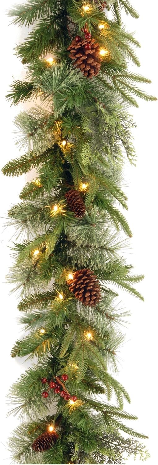 National Tree Company 9ft Pre-Lit Colonial Fir Artificial Christmas Garland | 50 Dual Color LED Lights, 220 Tips, 10 Light Functions, Christmas Decoration with Pinecones, Red Berries, Timer, Green