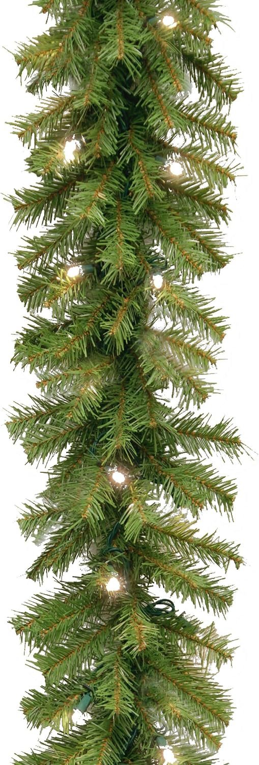 National Tree Company 9ft Pre-Lit Norwood Fir Artificial Christmas Garland | 50 Warm White LED Lights, 240 Tips, Christmas Decoration with Timer, Green