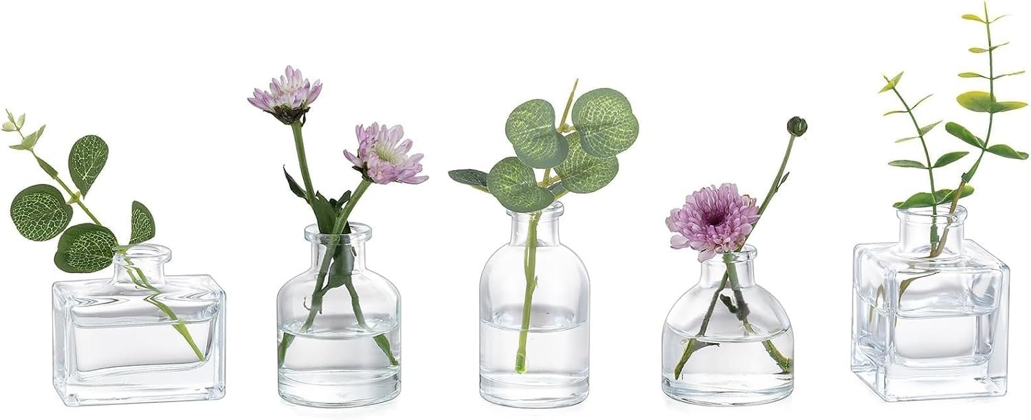 Glasseam Small Vases for Flowers, Clear Mini Glass Bud Vases Set of 5 | Assorted Minimalist Tiny Plant Propagation Jars for Single Stem Blooms, Modern Decor for Home Table, Window, Centerpieces