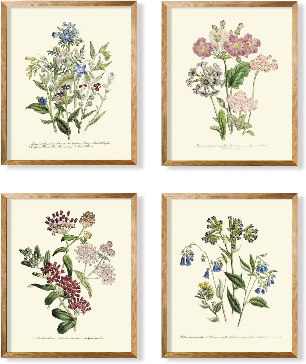 Watercolor Vintage Flower Poster Print – Primitive Green Magnolia Leaves Pictures Gallery Gift – Rustic Modern French Country Cottagecore Wall Art – Farmhouse Plant Botanical Floral Kitchen Room Decor
