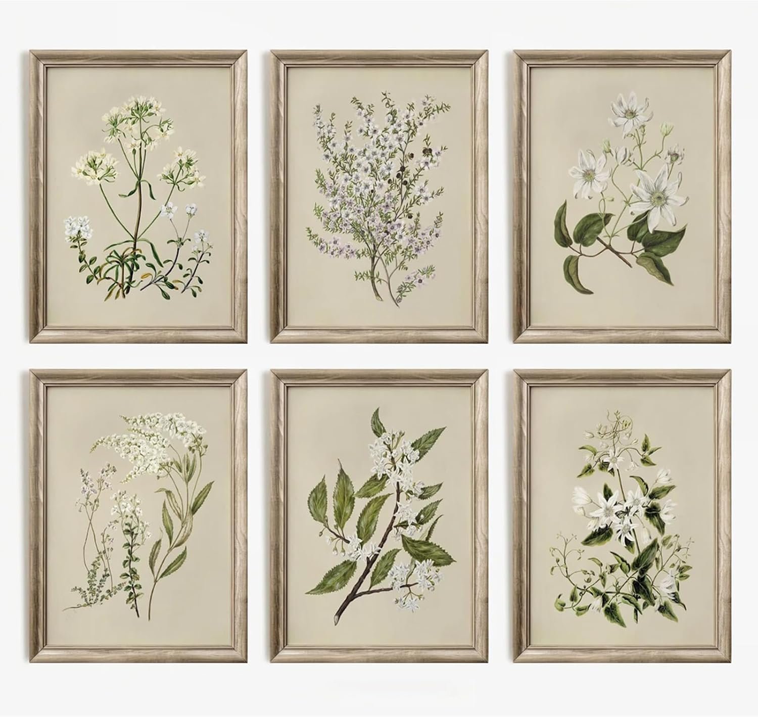 Vintage Botanical Wall Art Set of 6 Neutral Floral Canvas Wall Decor Wildflower Wall Art Watercolor Flower Prints Botanical Poster Minimalist Plant Pictures for Bedroom Living Room 8×10 Inch Unframed