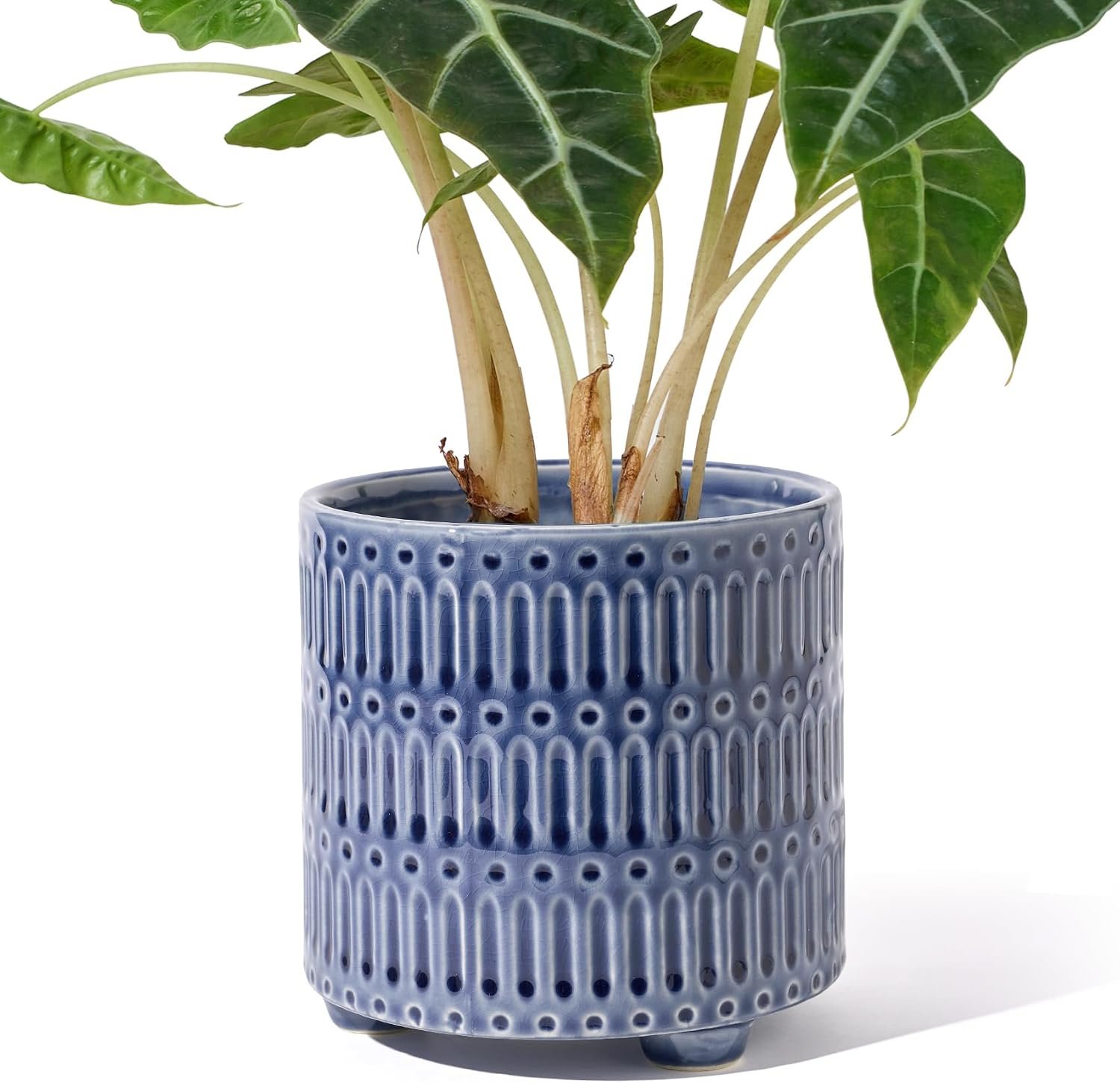 STHIE 5 Inch Ceramic Planters for Indoor Plants, Blue Cactu Snake Plant Pot | Stripes Pots with Drainage, Unique Modern Design, Round Flower Pot for Home Decoration