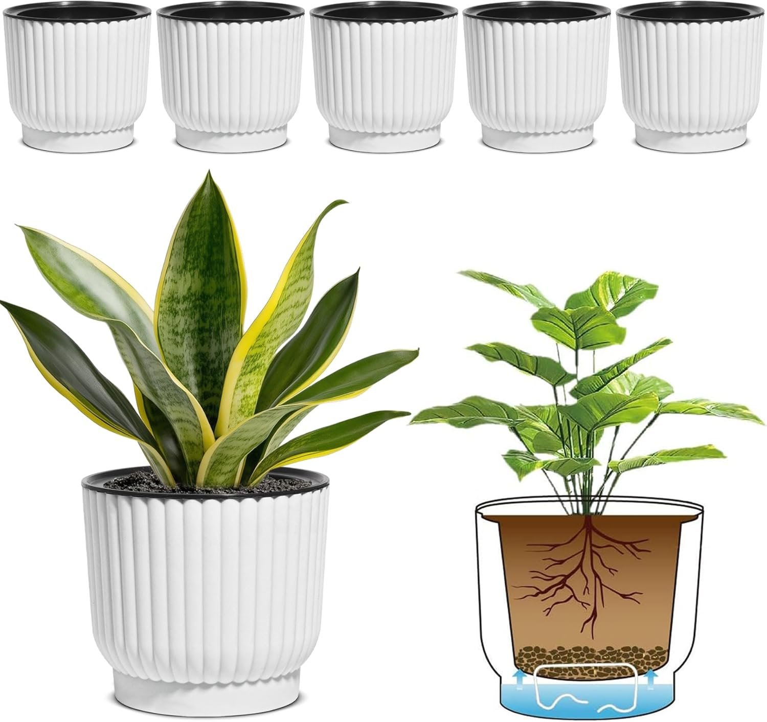 T4U Self Watering Pots for Indoor Plants, 6 Inch 6 Pack Planter White | African violet pothos ferns, Herb garden kitchen, Bottom feed reservoir, Easy care maintenance