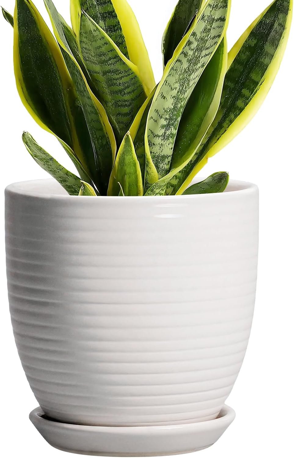 Ceramic Pots for Plants – 6 Inch Plant Pot with Drainage Hole and Saucer, Round Planters for Indoor Outdoor, Flower Pots, Modern Planter, Home Office Room Decor, Gifts for Plant Lovers, White