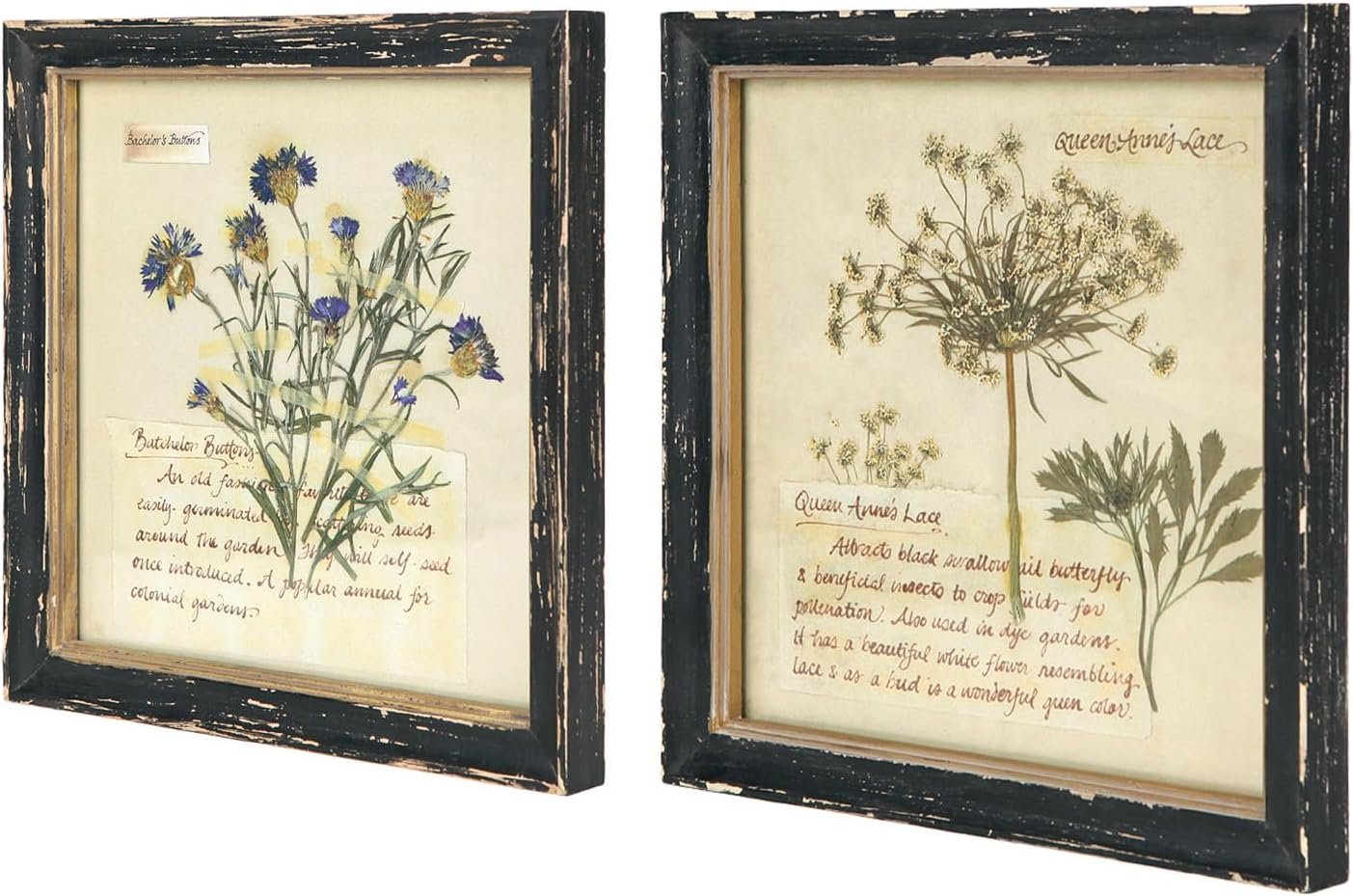 NIKKY HOME Botanical Wall Art Set of 2, Vintage Wood Framed Prints 10″x 10″ | Decorative Dried Floral Picture with Glass Front, Elegant Flower Rustic Black Wooden Frame Decor for Bathroom Bedroom Hallway