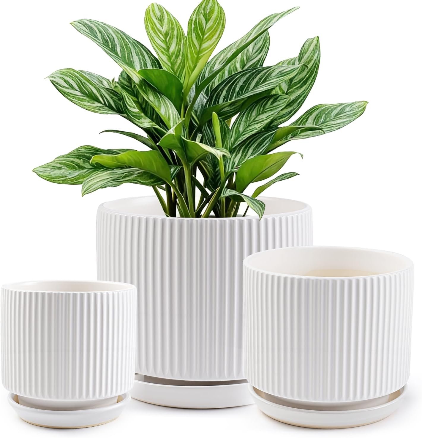 Ceramic-Flower-Pots-Sets-with-Saucer, 5/6/8 inch Small Planters for Indoor Plants with Drainage Hole, White Vertical Stripe Plant Pots for Home Decor, Outdoor Garden Pot For Succulent Cactus Herb