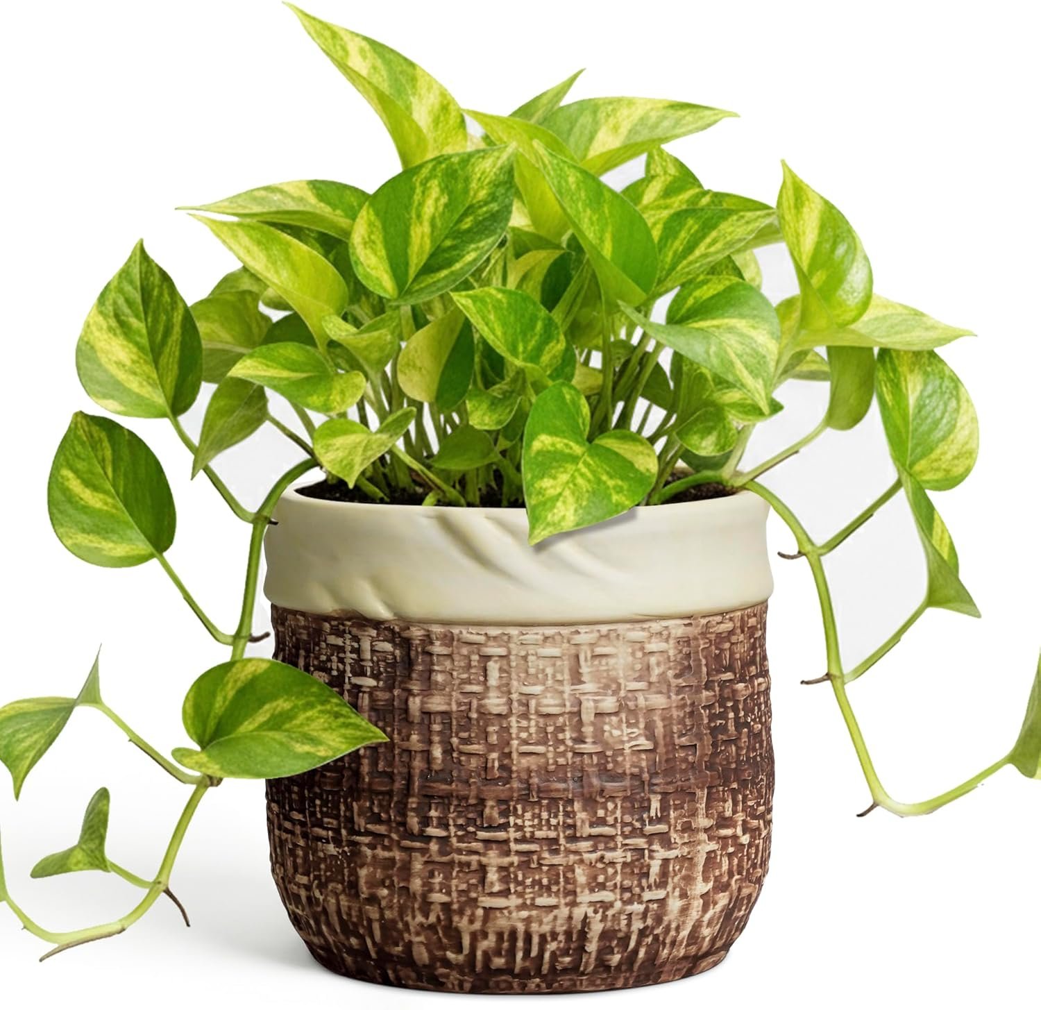 6 Inch Plant Pot – Ceramic Pots for Plants with Drainage Hole and Plug, Unique Plant Pots for Indoor Outdoor Plants, Round Planter, Room Home Decor, Gifts for Plant Lovers, Brown